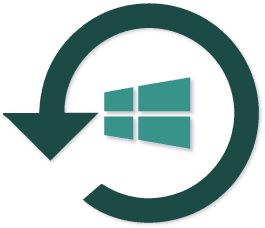 SysReturn Pro